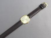 Watch Thumbnail Image