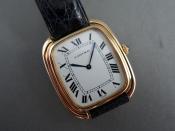 Watch Thumbnail Image
